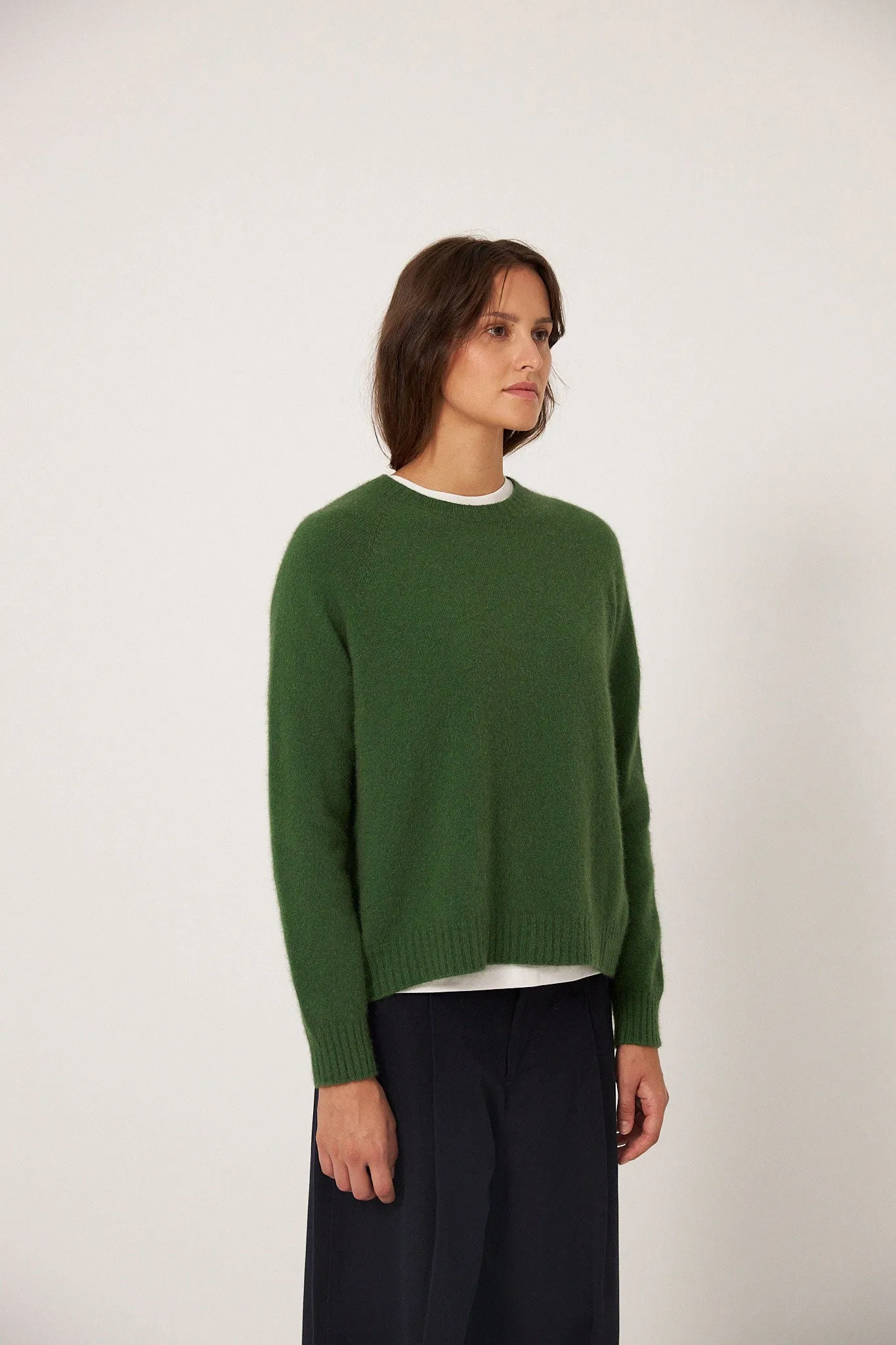Francie Nimbus Raglan Knit Herb