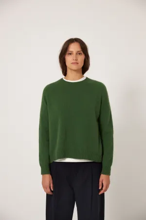 Francie Nimbus Raglan Knit Herb